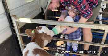 Walking in the gumboots of a Mid North Coast dairy farmer