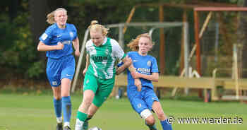 U17 reist zum SV Meppen