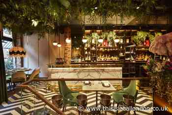 Review: Latin American Restaurant Zuaya in Kensington High Street
