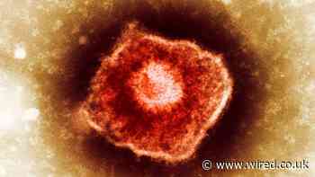 Diseases Didn’t Just Shape History, They Control the Future