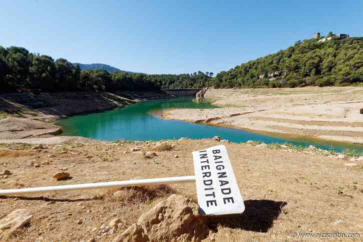Les pluies de mars "n'ont pas été suffisantes": "risque avéré" de sécheresse cet été en Provence et sur la Côte d'Azur