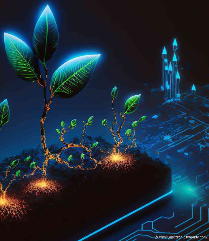 Submit a project for UN Sustainable Development Goals to win up to $20,000