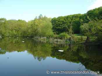 Work begins on £900k Hampstead Heath bathing pond upgrade