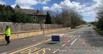 Police appeal as 19-year-old dies after falling from flyover above A1 near Alnwick