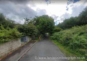 Padiham Greenway could get new dog controls to tackle fouling