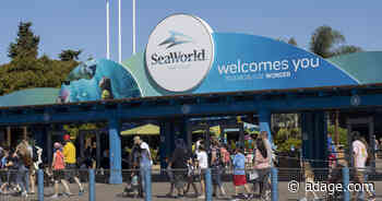 SeaWorld hires Marisa Thalberg as CMO
