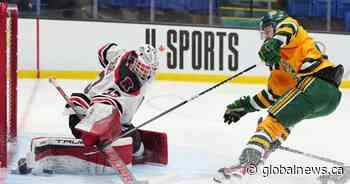 Leafs sign amateur goalie Richard to tryout