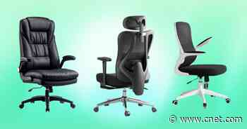 Take a Seat: Up to 42% Off Ergonomic Office Chairs     - CNET