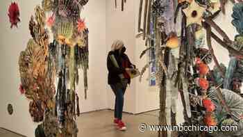 EXPO Chicago, a Giant Contemporary Art Expo is Coming to Navy Pier This Weekend