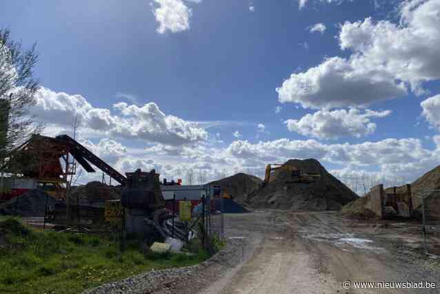 Omstreden windmolens komen er dan toch niet door... vleermuizen: “Ze hebben hun huiswerk niet goed gemaakt”