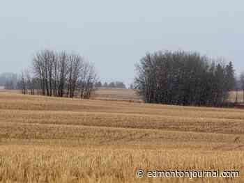 Human skull found in southeast Edmonton, police investigating