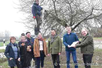 Beste-Stadtwerke unterstützen Schutz von Streuobstwiesen im Kreis Höxter