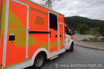 Waldarbeiter am Hang in Schlangen-Kohlstädt verletzt