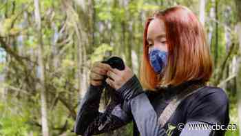 Researchers need help to determine which birds are most at risk from climate change. Here's what you can do