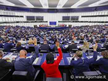 "Documenti Ue dettati dalle Ong, rinuncio al ruolo di relatrice". L'accusa della Lega ai Verdi europei