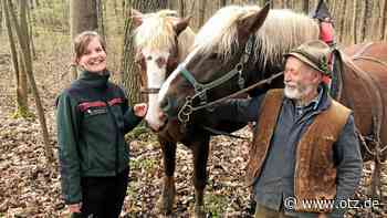 Der 20. Jenaer Holzmarkt und das Verkaufstreiben mit Handgemachtem