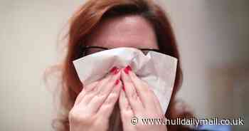 Climate change triggers spring misery for hay fever sufferers