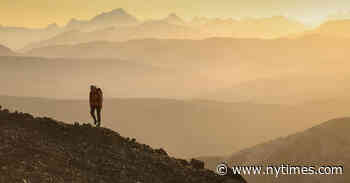 ‘Wild Life’ Review: Their Land Is Our Land