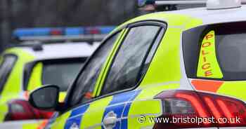 Woman arrested after newborn baby girl found dead in Somerset recycling centre