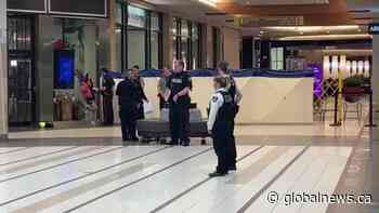 Young man taken to hospital after being assaulted at Southgate Centre in south Edmonton