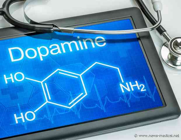 Dopamine may play key role in why exercise feels "easy" to some people and exhausting to others