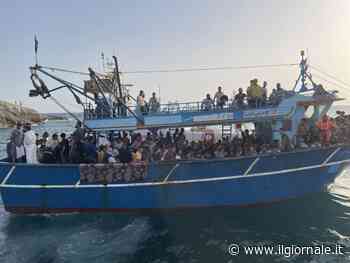 I migranti ci costano 1 miliardo, lo zar anti-ratti e Giletti: quindi, oggi...