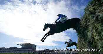 Horse dies after falling at Grand National meeting