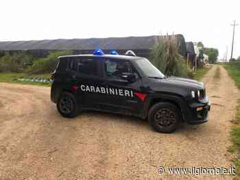 Omicidio a Sabaudia, 31 ucciso con due colpi d'arma da fuoco. Movente passionale