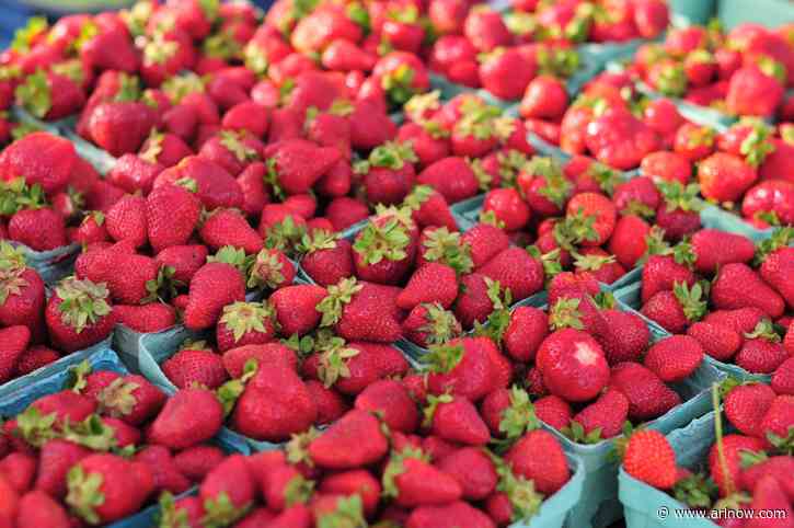 Neighborhood farmers markets open this Saturday!
