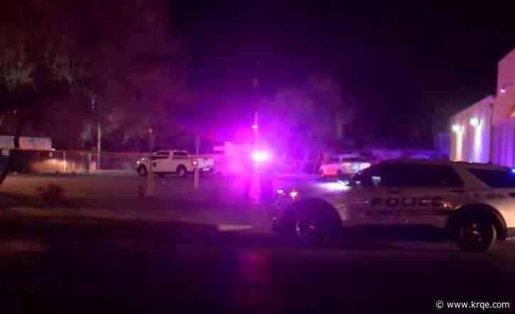 Albuquerque man sentenced for killing friend with a tree branch