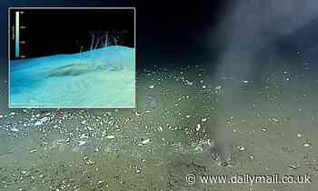 Experts on red alert for mega-earthquake off US coast - after analyzing a hole on a fault line