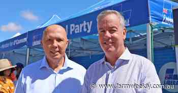 Merino and live sheep trade interwoven