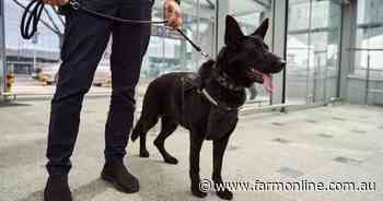 Dairy scores wins in biosecurity report