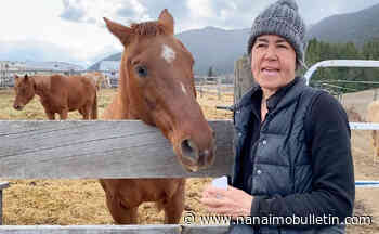 VIDEO: Salmon Arm horse rescue operator says BC SPCA investigation prompted by harasser