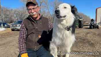 Sask. could see shortage of farmers, RBC report says