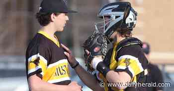 Baseball: Wrona's hot hitting helps Metea Valley take series from DeKalb