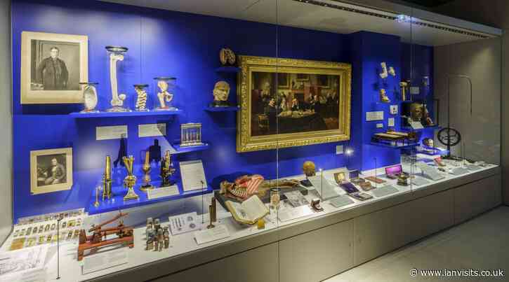 London’s Hunterian Museum reopens next month