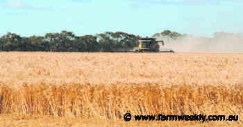 More market information from new site