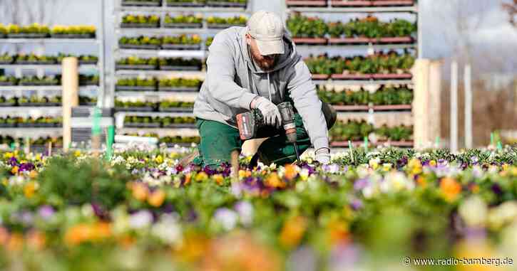 Bundesgartenschau startet mit Bundespräsident Steinmeier