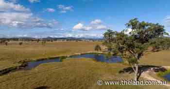Grazing country sold after auction