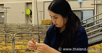 "Classing your own wool and understanding the product you are breeding for is a great objective to have"