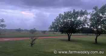 Kimberley station escapes major damage