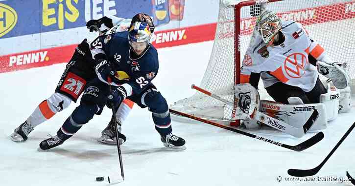 Premiere im Eishockey-Finale: «Für Fans nichts Schöneres»