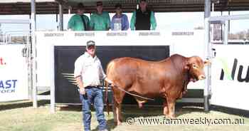 Munda Reds sale a blockbuster