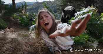 'Cocaine Bear' Streaming on Peacock: Release Date and Time     - CNET