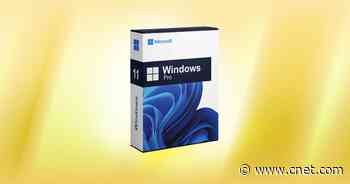 Add Windows 11 Pro to Your Custom-Built PC for Just $60 Right Now     - CNET