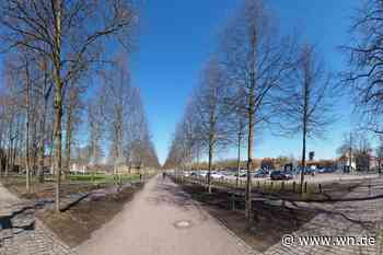 Warum Thomas Mann vor 100 Jahren für Münsters Promenade kämpfte