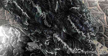 Book Review: ‘The Wager,’ by David Grann