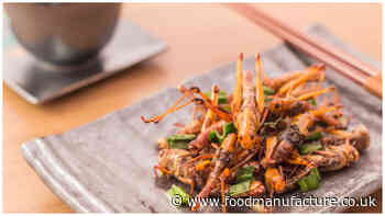 From lab to plate – bringing an alternative protein product to market