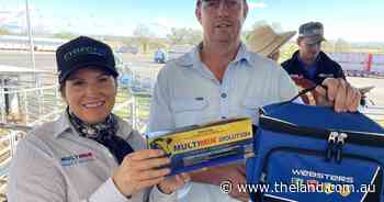 7570 weaner steers and heifers at 'best ever' Tamworth sale